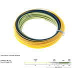 RIO Intouch Gold Fly Line WF4F